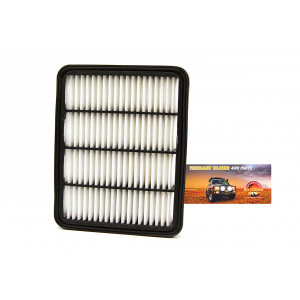 FILTRE A AIR (A1408)