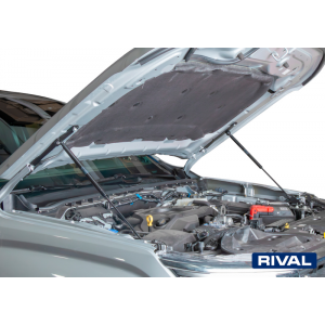 Montpellier4x4 Verin Capot Rival Ford Ranger/raptor 2023 -&gt