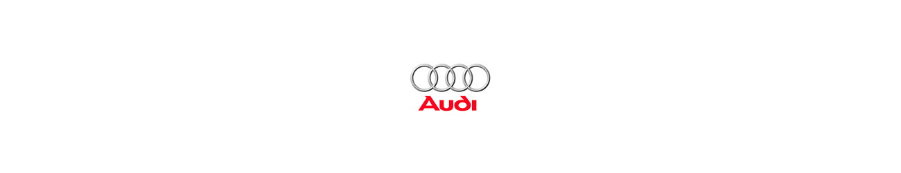 Galeries de toit Frontrunner pour véhicule Audi