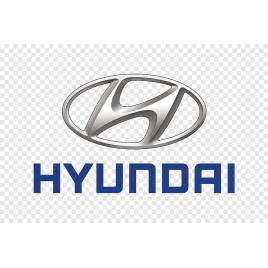 Constructor Hyundai